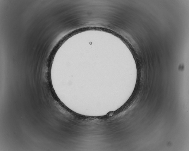 X0000101400926200808041037