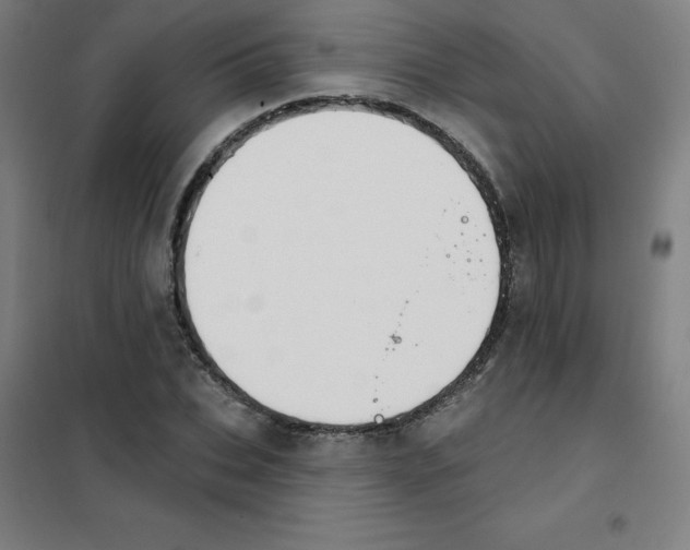 X0000101400927200808041037