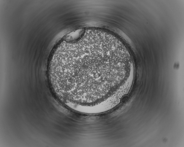 X0000101400930200808041037