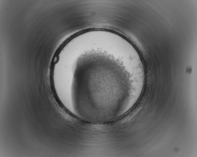 X0000101400932200808041037