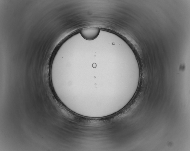 X0000101400933200808041037