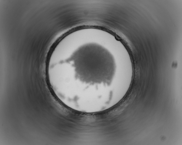 X0000101400935200808041037