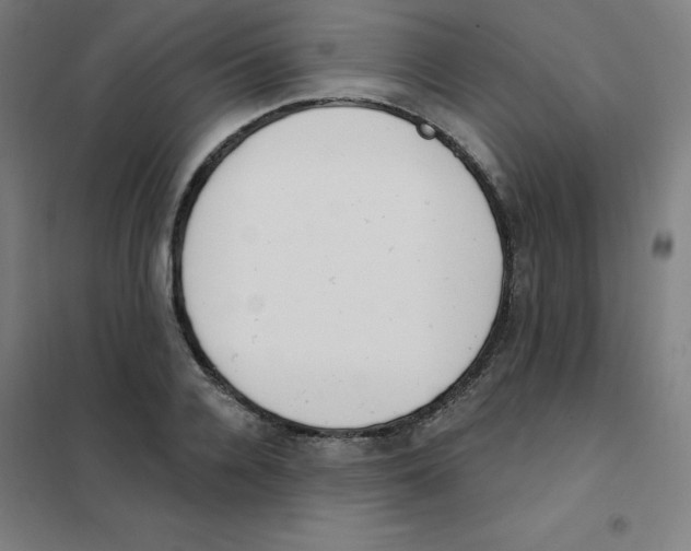 X0000101400936200808041037