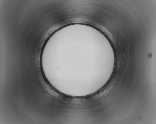 X0000101400938200808041037