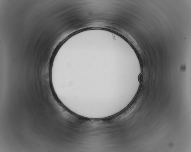 X0000101400939200808041037