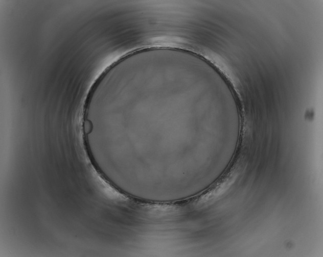 X0000101400941200808041037