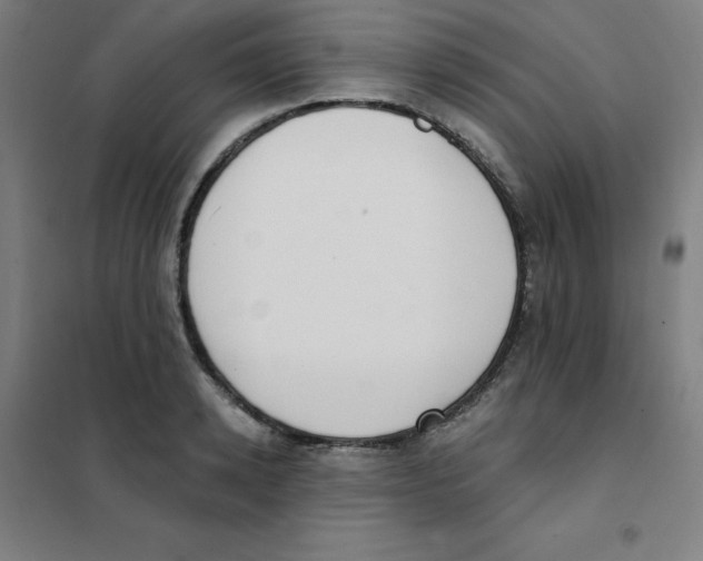 X0000101400942200808041037