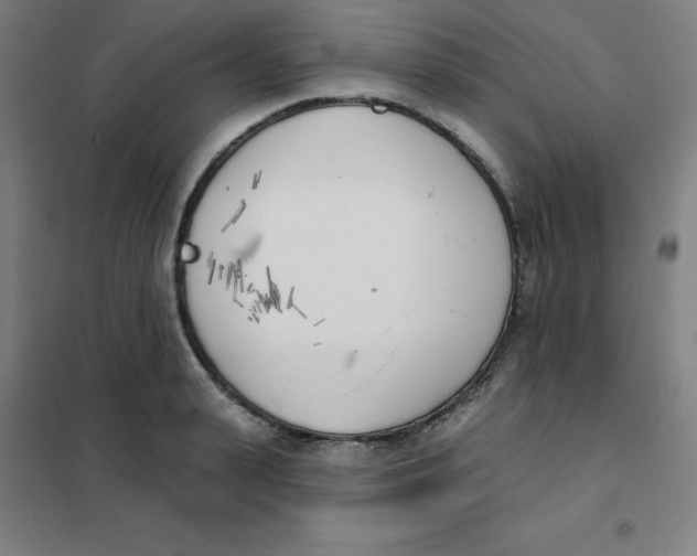 X0000101400943200808041037