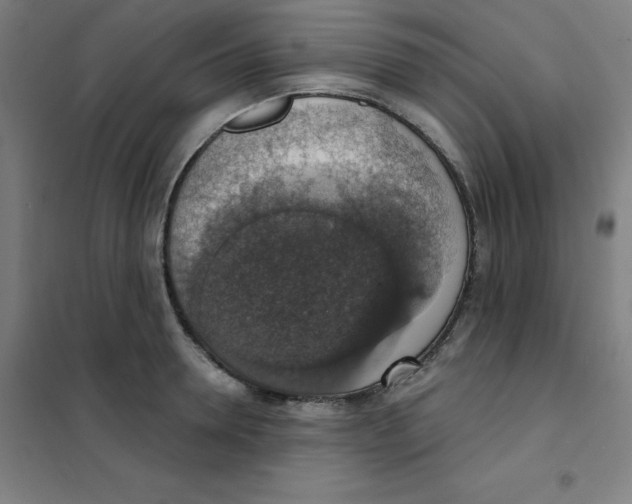 X0000101400946200808041037