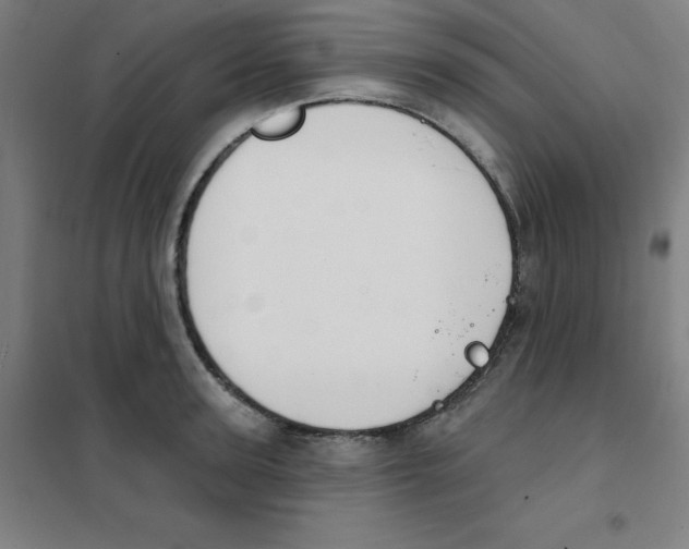 X0000101400947200808041037