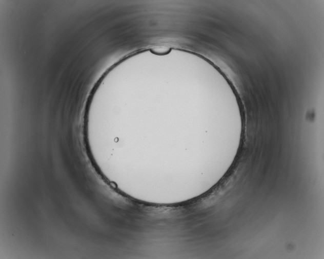 X0000101400949200808041037