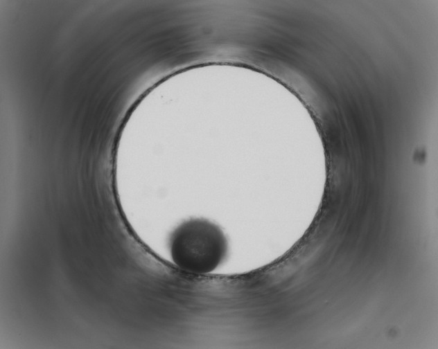 X0000101400950200808041037