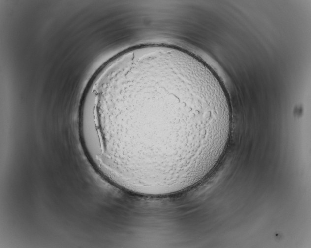 X0000101400951200808041037