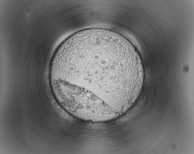 X0000101400952200808041037