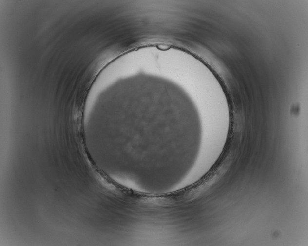 X0000101400953200808041037