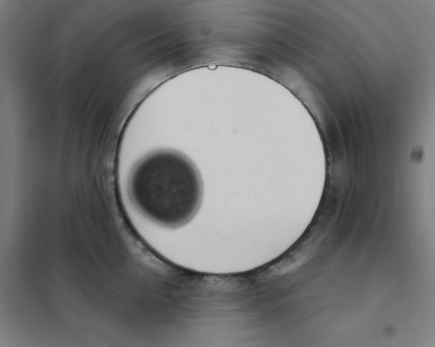 X0000101400954200808041037