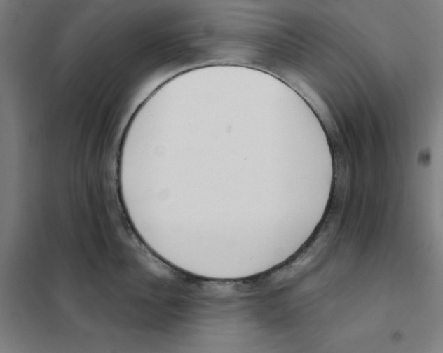 X0000101400956200808041037