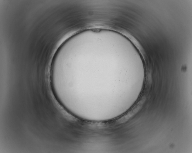 X0000101400957200808041037