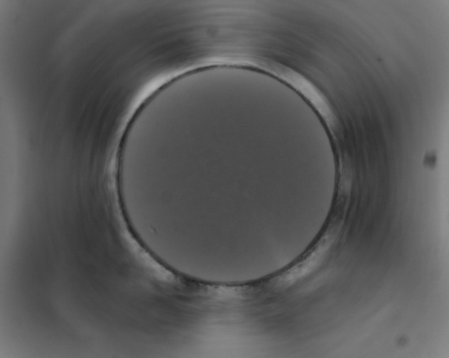 X0000101400958200808041037