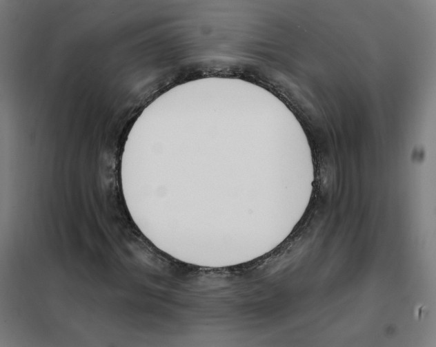 X0000101400964200808041037