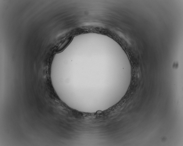 X0000101400965200808041037