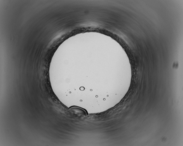 X0000101400967200808041037