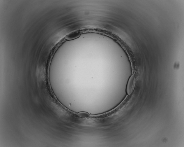 X0000101400969200808041037