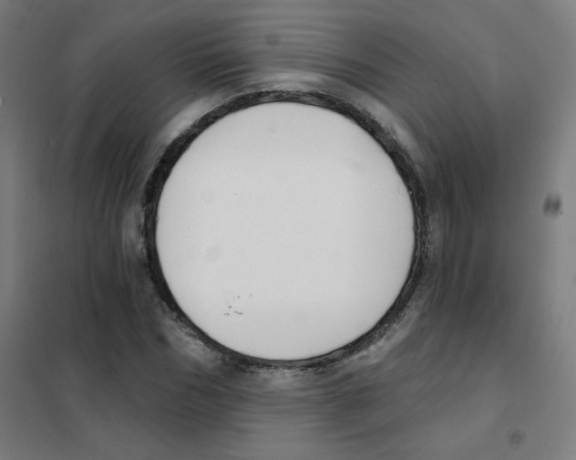 X0000101400970200808041037