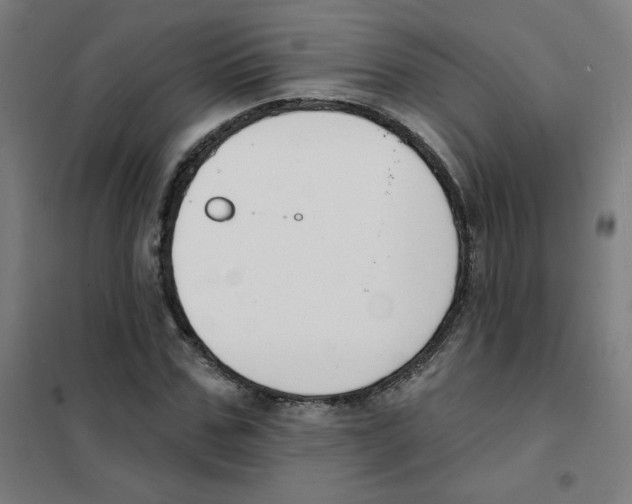 X0000101400971200808041037