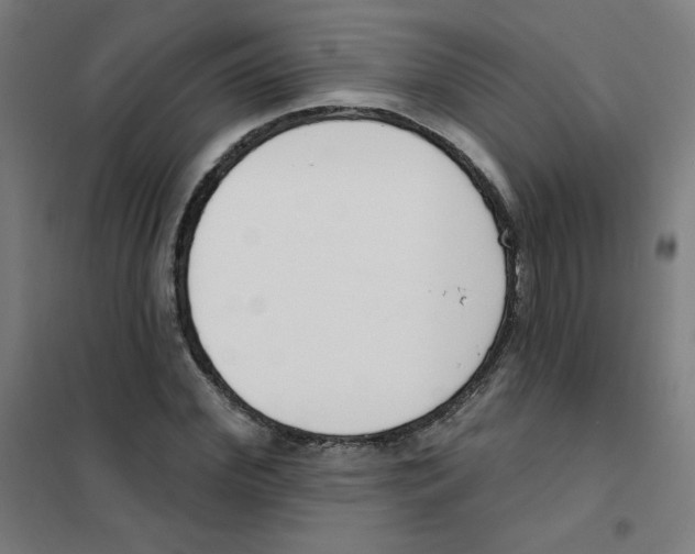 X0000101400972200808041037