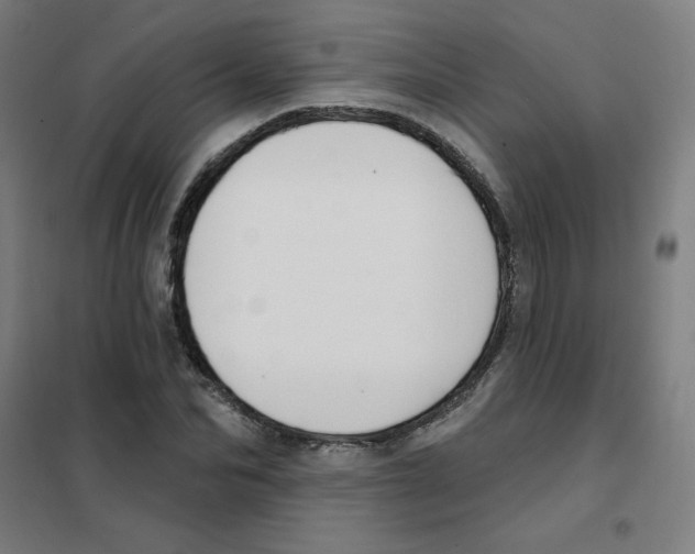 X0000101400974200808041037