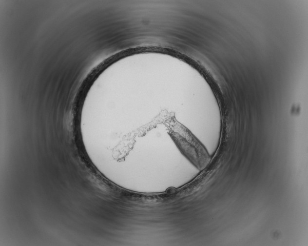 X0000101400975200808041037