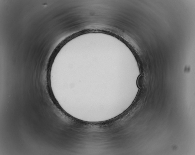 X0000101400976200808041037