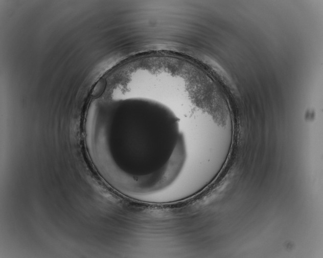 X0000101400977200808041037