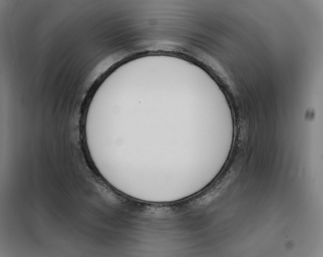 X0000101400978200808041037