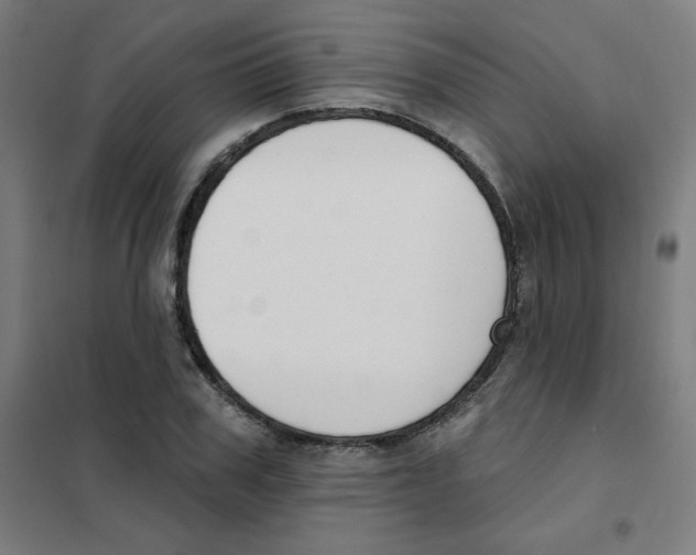 X0000101400979200808041037