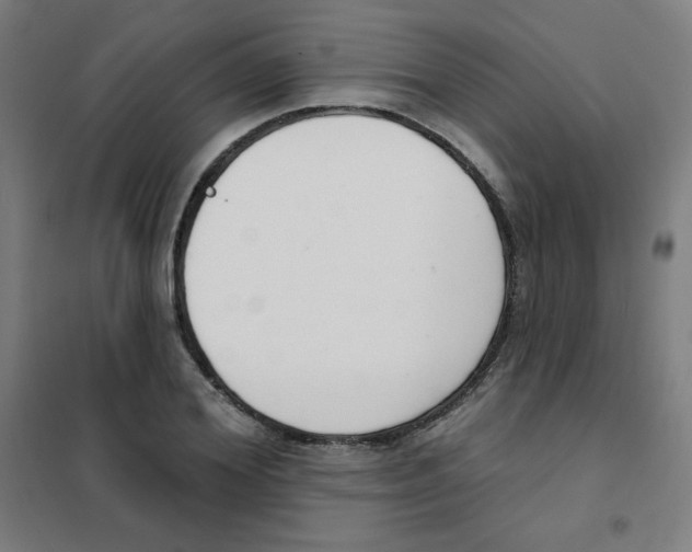 X0000101400980200808041037