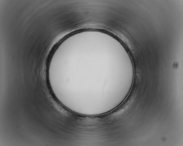 X0000101400981200808041037