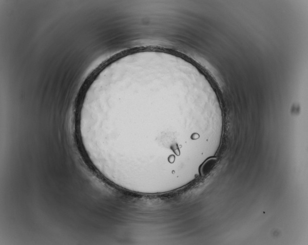 X0000101400983200808041037