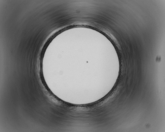 X0000101400984200808041037