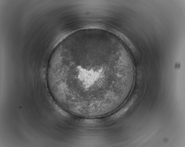 X0000101400985200808041036