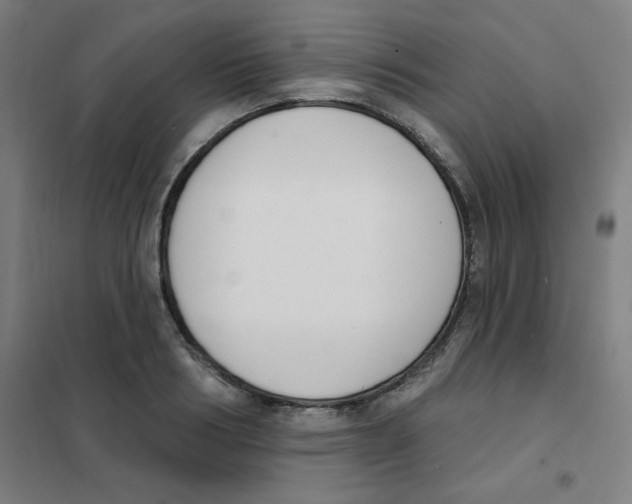 X0000101400986200808041036