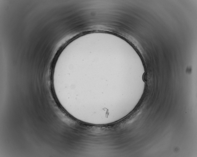 X0000101400987200808041036