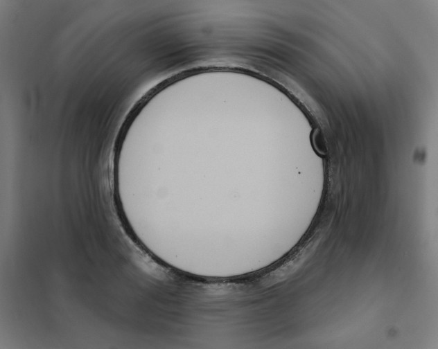 X0000101400988200808041036