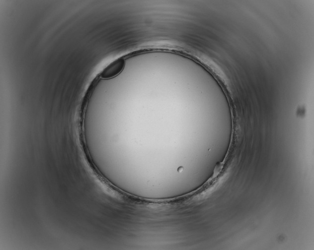 X0000101400989200808041036