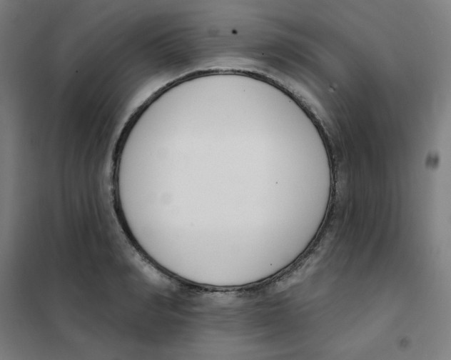 X0000101400990200808041036