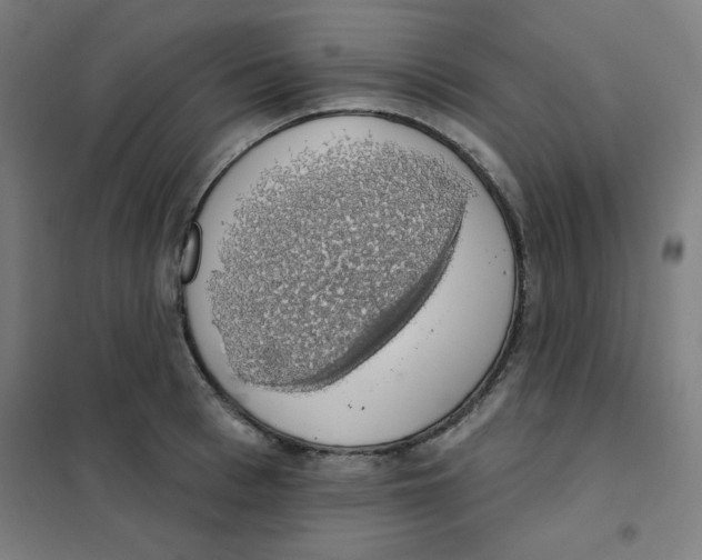 X0000101400993200808041036