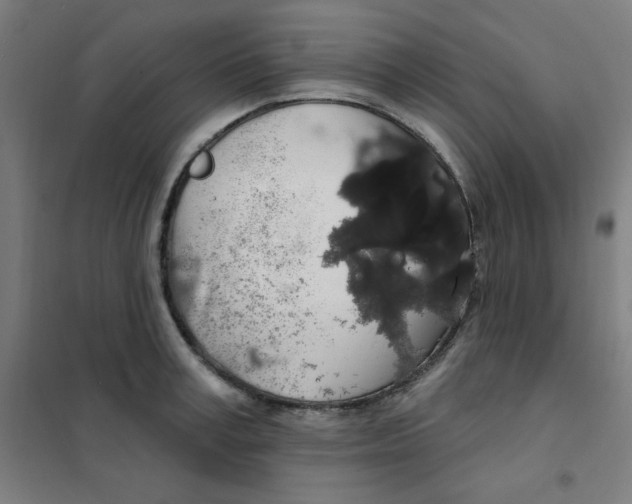 X0000101400995200808041036