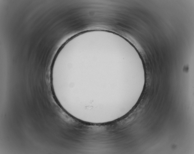 X0000101400996200808041036