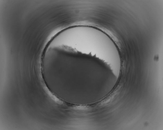 X0000101400998200808041036